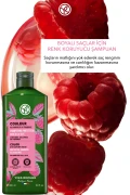 شامپو محافظ رنگ - مخصوص موهای رنگ شده - 300ml