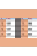 صندل مردانه تمام اورتپدیک از چرم طبیعی