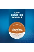 کرم نرم کننده لب درمانی با روغن کاکائو 20 گرم