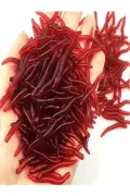 خوراک ماهی سیلیکونی کرم 100 عددی – سایز کوچک 3.5 سانتی‌متر، قرمز، ساختار انعطاف‌پذیر