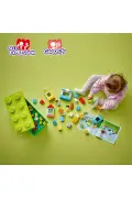 لگو جعبه قطعات ساخت کلاسیک دوپلو لگو ۱۰۹۱۳ - (۶۵ قطعه)