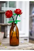 لگو گل لگو ۴۰۴۶۰