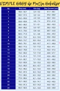 ست لباس نوزاد با طرح حیوانات و کلاه‌دار