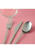ست قاشق چنگال و چاقو 60 پارچه برای 12 نفر