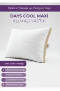 بالش سیلیکونی با تهویه DayCool Maxi