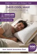 بالش سیلیکونی با تهویه DayCool Maxi