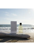 عطر مردانه 561 فرش 50 میلی لیتر ادو پرفیوم