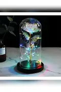 گل ابدی تزئینی با نور در گلدان شیشه‌ای مخصوص روز عشق و روز مادر