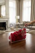 کیف آکریلیک شفاف مستطیلی با لوازم طلایی (داخل خالی) - سایز کوچک (32x19 سانتیمتر)