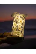 فانوس دکوری با نور LED مدل گل داودی - هدیه ویژه روز معلم