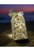 فانوس دکوری با نور LED مدل گل داودی - هدیه ویژه روز معلم