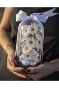 فانوس دکوری با نور LED مدل گل داودی - هدیه ویژه روز معلم