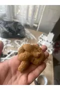 کاکای پلاستیکی سفت با ظاهر واقعی 9 سانتی‌متری - اسباب بازی سرگرم‌کننده و شوخی