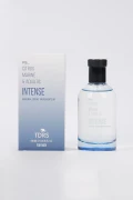 عطر مردانه اینتنس آکواتیک سری ویژه 100 میلی لیتر