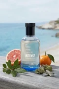 عطر مردانه اینتنس آکواتیک سری ویژه 100 میلی لیتر