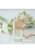 عطر ماشین آکوا 5 میلی لیتر استاندارد