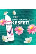 اسپری دئودورانت زنانه بوکت سکسی 150 میلی لیتر x3