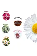 چای گیاهی طبیعی مخصوص بانوان حاوی دانه کدو، سیوانپرچمی و بابونه 60 گرم