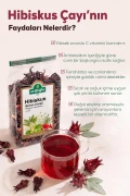 هیبیسکوس، گل انار، گل بامیه، گل مکه 110 گرم