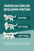 خوراک گربه عقیم شده با طعم ماهی سالمون 2x1.4 کیلوگرم