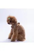 ست قلاده و بند وحشی با طراحی پلنگی برای گربه و سگ