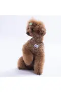 ست قلاده و بند وحشی با طراحی پلنگی برای گربه و سگ