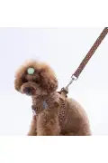ست قلاده و بند وحشی با طراحی پلنگی برای گربه و سگ