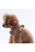 ست قلاده و بند وحشی با طراحی پلنگی برای گربه و سگ