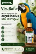 ویتامین مایع پرندگان و طوطی‌ها با ترکیبات گیاهی Virusafe به حجم 30 میلی‌لیتر