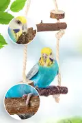 تجهیزات اساسی قفس شامل 9 قطعه لوازم جانبی و اسباب بازی پرندگان