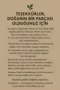 سری پرندگان شاد / نشیمنگاه پرنده از چوب طبیعی / 2 عدد - 35/45 سانتیمتر