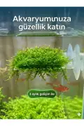 نگهدارنده تلسکوپی بالکن موس 3D – 5x5 موس را به صورت شیک و ضد لغزش به شیشه بچسبانید!
