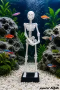 دکور آکواریوم اسکلت ® AQUA Dans Eden – سازگار با موتور هوا
