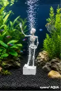 دکور آکواریوم اسکلت ® AQUA Dans Eden – سازگار با موتور هوا