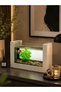 آکواریوم چوبی مینی برای ماهی بتا طراحی مدرن شیک و طبیعی