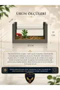 آکواریوم چوبی مینی برای ماهی بتا طراحی مدرن شیک و طبیعی
