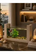 آکواریوم چوبی مینی برای ماهی بتا طراحی مدرن شیک و طبیعی