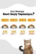 غذای خشک گربه بالغ استریل شده با طعم گوشت بره 12 کیلوگرم