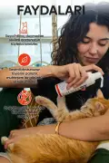 شامپوی خشک گربه