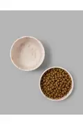 ست دو عددی ظرف آب و غذای سرامیکی برای گربه و سگ