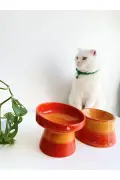 ظرف غذا و آب سرامیکی گربه و سگ (نارنجی و رنگین کمان - ۲ عددی)