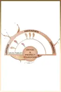 فونداسیون دتوکس و پروتکت با SPF 15 و پوشش بالا - 01 بژ