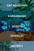 ژل شستشوی صورت آکنیم سبوم تنظیم کننده 500 میلی لیتر 1 خرید 1 هدیه اسید سالیسیلیک چای درختی نیاسینامید