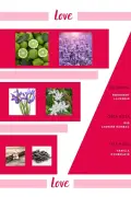 جذابیت 24 ساعته - کیف - 24 میلی لیتر x 3 عدد - عطر