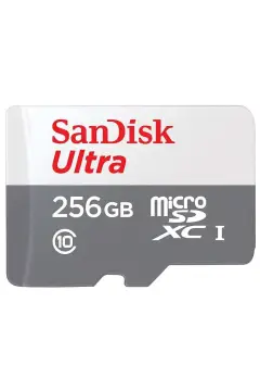 کارت حافظه میکرو اس دی ایکس ۲۵۶ گیگابایت ۱۰۰ مگابیت بر ثانیه UHS-I مدل SDSQUNR-256G-GN3MN