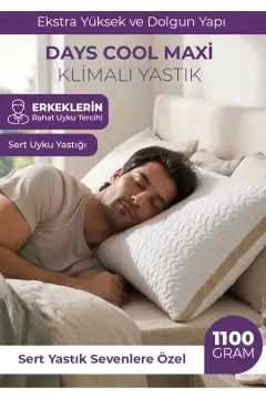 بالش سیلیکونی با تهویه DayCool Maxi