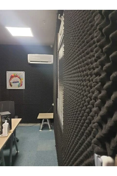 اسفنج آکوستیک تخم‌مرغی عایق صدا – 30mm, 100x100cm, 50 DNS – اسفنج جلوگیری از پژواک