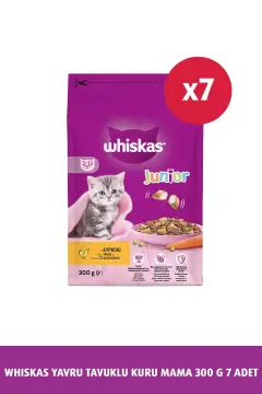 خوراک خشک گربه با طعم جوجه بچه 300 گرم 7 عددی