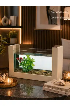 آکواریوم چوبی مینی برای ماهی بتا طراحی مدرن شیک و طبیعی