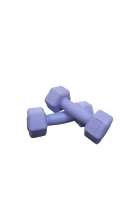 دستگاه دمبل پلاستیکی مینی 1 کیلوگرم X2 عددی لیلا